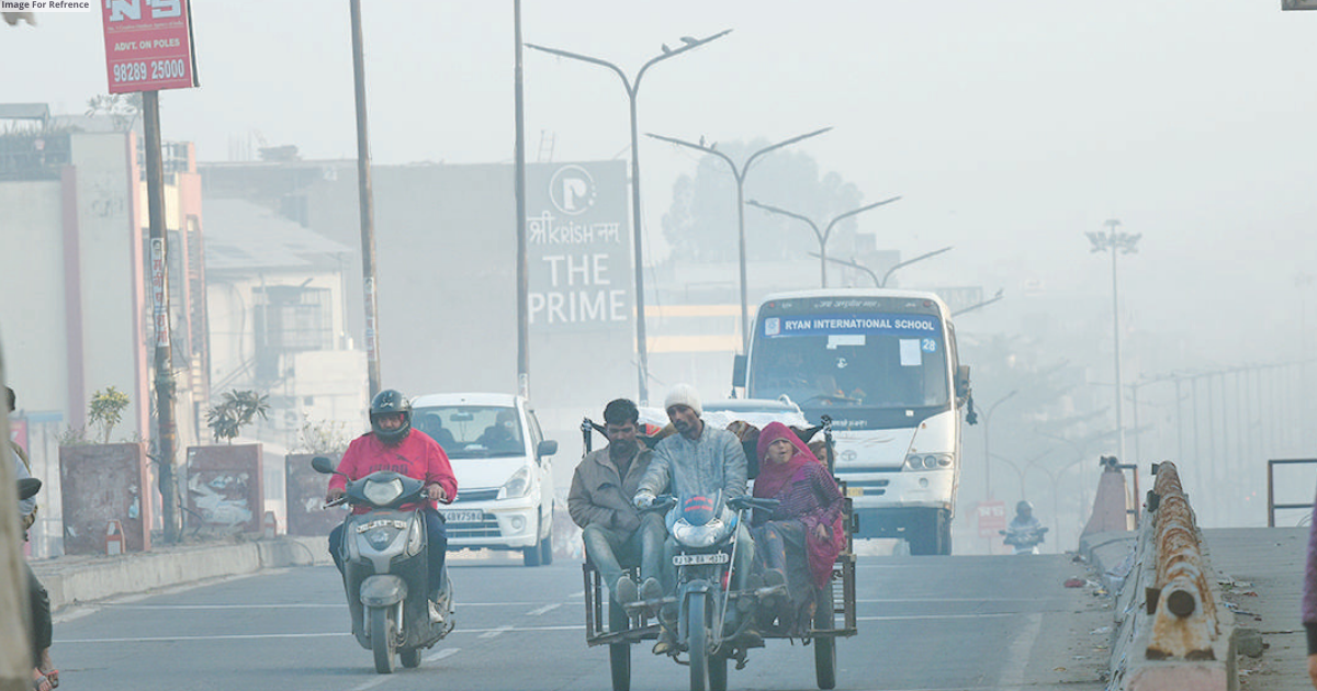 Cold conditions persist in the State; mercury dips below 10° C